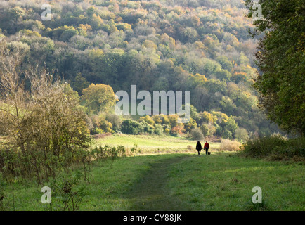 Brockweir ist ein kleines Dorf im Wye Valley Wald von Dean Monmouthshire England: Wandern im Wald von Dean Stockfoto