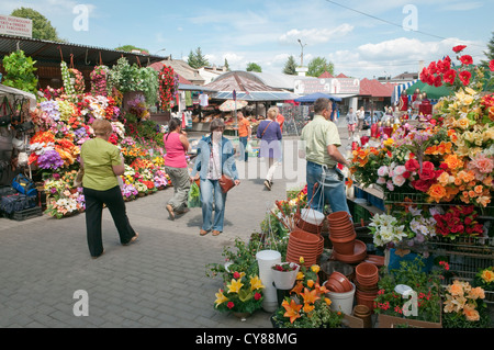 Blume Stände am lokalen Markt in Wadowice, kleine Stadt in Südpolen. Stockfoto