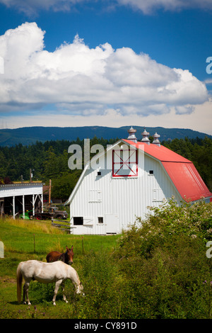 Wirtschaftsgebäude auf Orcas Island im Bundesstaat Washington Juan Inseln Stockfoto