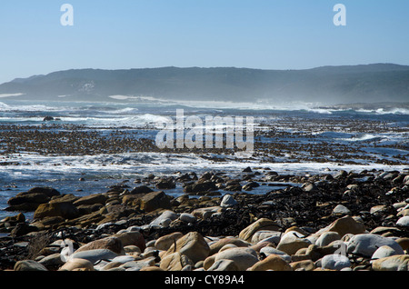 Western Cape Seelandschaft Teil des Table Mountain National Park, Kapstadt, Südafrika. Stockfoto