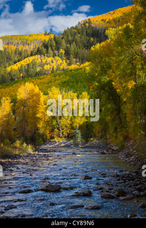 Espen am Hang in den San Juan Mountains von Colorado mit kleiner Fluss im Vordergrund Stockfoto