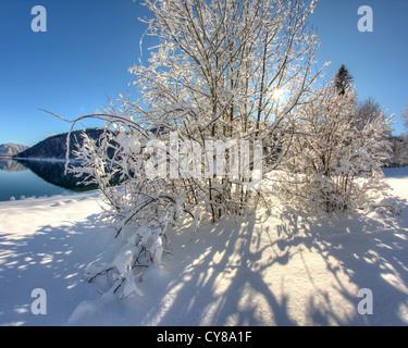 DE - Bayern: Winter-Szene am Walchensee in Kochel Stockfoto