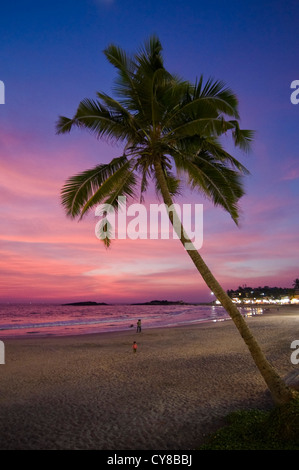 Vertikale Ansicht einer Palme Rascheln im Wind bei einem wunderschönen Sonnenuntergang am Leuchtturm Strand von Kovalam. Stockfoto