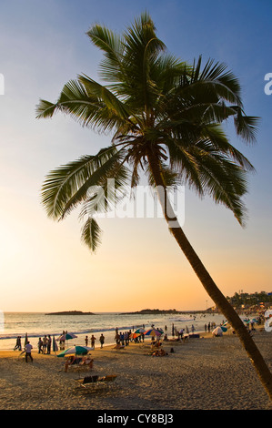 Vertikale Ansicht einer Palme am Lighthouse Beach bei Sonnenuntergang in Kovalam, Kerala. Stockfoto