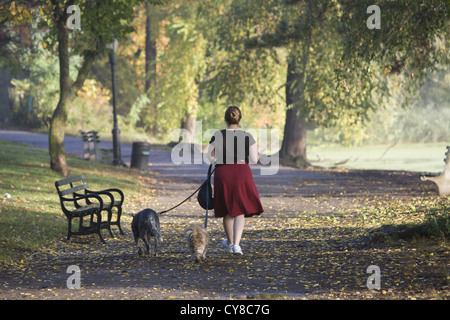 Frau geht ihren Hunden in den frühen Morgenstunden entlang des Sees im Prospect Park, Brooklyn, NY Stockfoto