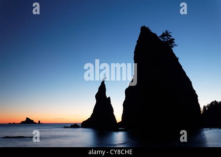 Meer-Stack bei Sonnenuntergang, Rialto Strand, Olympic Nationalpark, Washington State, USA Stockfoto