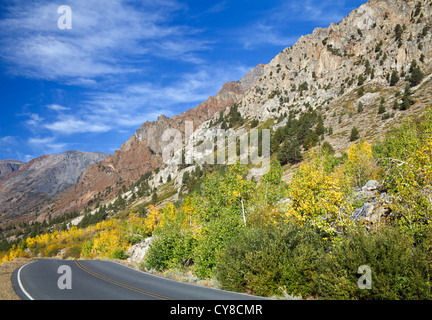 Brillante Farben entlang Straße in Lundy Canyon in der High Sierra in Nordkalifornien Stockfoto