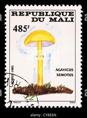 Briefmarke aus Mali, die Darstellung eines Pilzes (Agavicus Semotus) Stockfoto