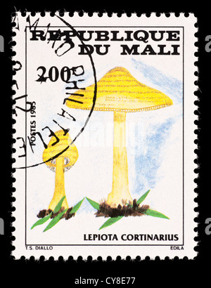 Briefmarke aus Mali mit Pilzen (Lepiota Cortinarius) Stockfoto