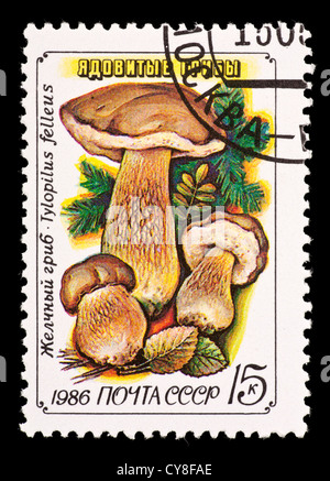 Briefmarke aus der Sowjetunion (UdSSR), Pilze (Tylopilus Felleus) darstellen Stockfoto