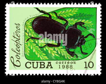 Briefmarke aus Kuba Darstellung zeigt einen tropische Käfer (Odontotaenicus Zodiacus) Stockfoto