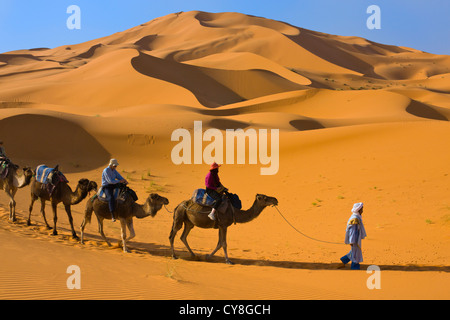 Kamel-Karawane mit Sanddüne, Sahara Wüste Erg Chebbi, Marokko Stockfoto