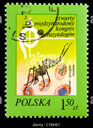 Polnische Briefmarke Darstellung einer Anopheles-Mücke und roten Blutkörperchen, für die 4' th International parasitologischen Congress Stockfoto