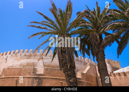 Stadtmauer rund um die alte Medina, Essaouira, Marokko Stockfoto