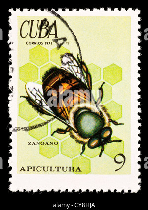 Briefmarke aus Kuba Darstellung Darstellung einer Honigbiene auf den Waben. Stockfoto