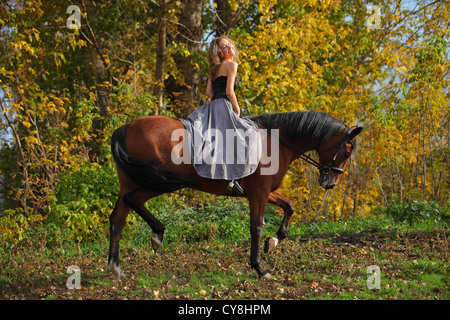 Junge Frau Reiter und ihr Pferd herein Abend Weide Stockfoto