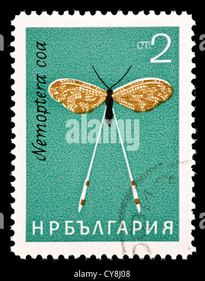 Briefmarke aus Bulgarien, eine Fliege (Nemoptera coa) darstellen. Stockfoto