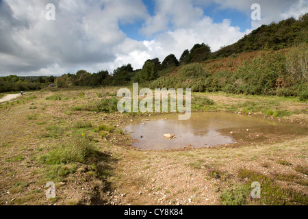 Bissoe Tal; Bereich der ehemaligen Bergbautätigkeit; Radweg; Cornwall; Stockfoto