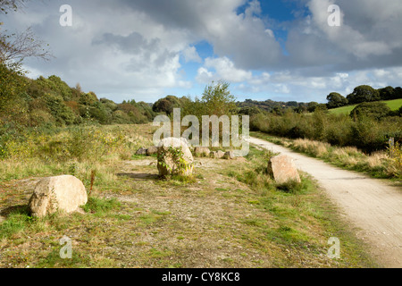 Bissoe Tal; Radweg; Cornwall; Stockfoto