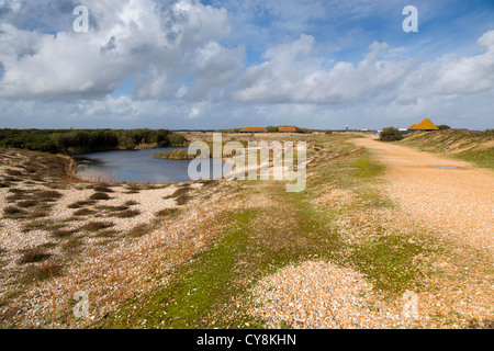 Dungeness RSPB Reserve; Kent Stockfoto