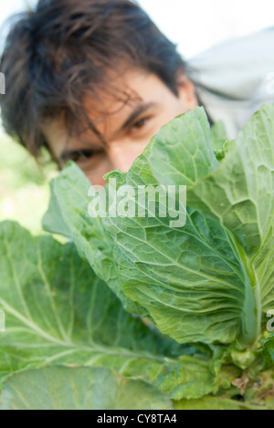 Mann mit Blick auf die Kohlblätter Stockfoto