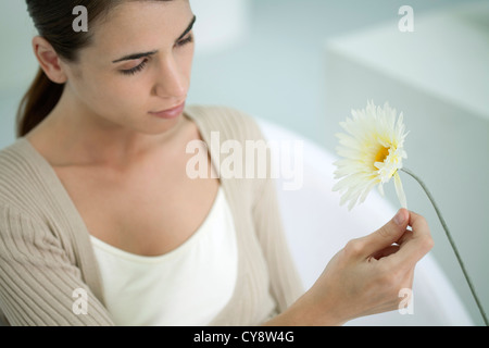 Junge Frau, die Blütenblätter von Gerbera Daisy zupfen Stockfoto
