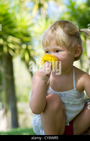 Kleines Mädchen riechende Blume Stockfoto