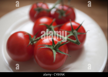 Eine Gruppe Tomaten auf einem weißen Teller. Die Tomaten sind noch immer mit den Reben verbunden. Stockfoto