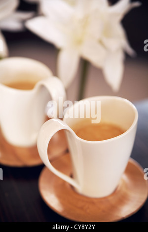 Zwei schöne Tassen cappuccino Stockfoto