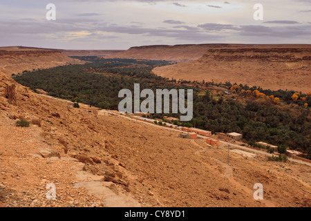 Blick auf ein fruchtbares Tal und die Oase in der Wüste Saraha, Marokko, Afrika Stockfoto