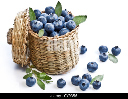 Heidelbeeren in einem Korb auf einem weißen Hintergrund. Stockfoto