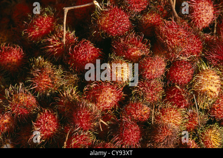 Nephelium Lappaceum, Rambutan. Stockfoto