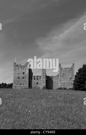 Schwarz-weiß-Bild der Blumenwiese, Castle Bolton Castle, Wensleydale, Yorkshire Dales National Park, England Stockfoto