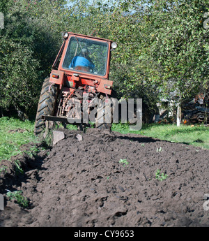 roten alten Traktor im Herbst auf Feld Stockfoto