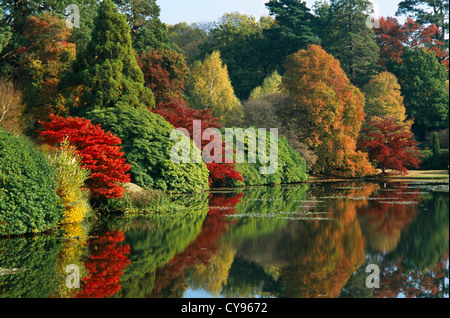 Baum, Baum. Stockfoto