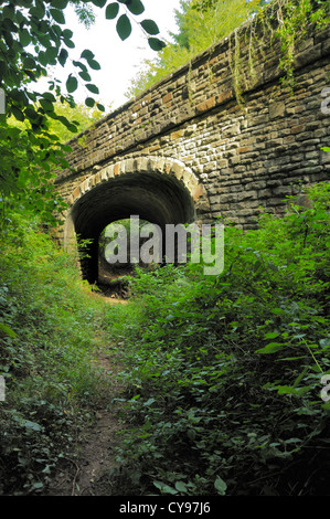 Straßenbrücke über aufgegebenen Bahnstrecke Stockfoto