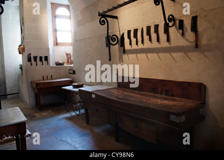 Frankreich Château de Chenonceau ist ein Herrenhaus in der Nähe des kleinen Dorfes Chenonceaux, Loire-Tal. Stockfoto