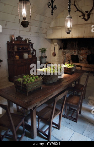 Frankreich Château de Chenonceau ist ein Herrenhaus in der Nähe des kleinen Dorfes Chenonceaux, Loire-Tal. Stockfoto