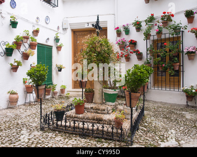 Priego de Cordoba, eine Stadt in Andalusien mit engen Gassen, weißen Häusern und Geranie Dekoration an den Wänden, kleinen Platz Stockfoto