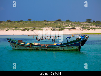 Haifischflossen In Dahlak Inseln, Eritrea Stockfoto