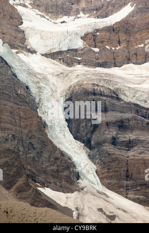 Die Krähen Fuß-Gletscher in den kanadischen Rockies, wie alle kanadischen Gletscher, die es rasch abnimmt. Stockfoto