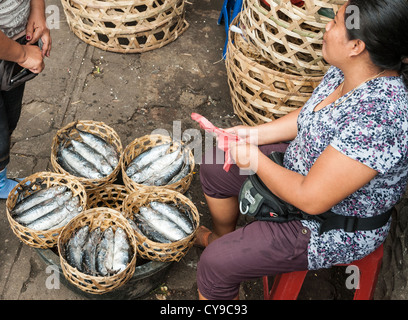 Frau verkaufen Fisch auf dem Pasar Badung-Markt in Denpasar, Bali, Indonesien Stockfoto