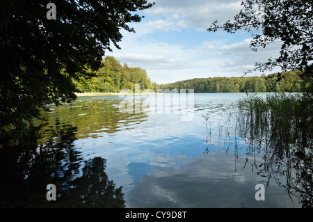 See liepnitzsee, Land Brandenburg, Deutschland Stockfoto