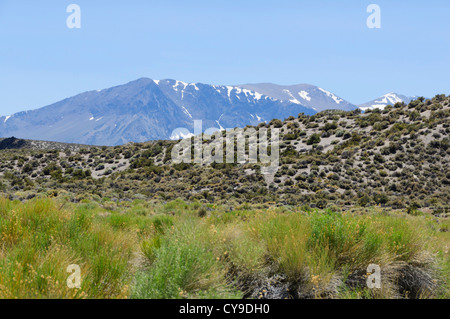 Blick in Richtung der östlichen Sierra reichen von Mono Lake South Tufa Ufer. Stockfoto