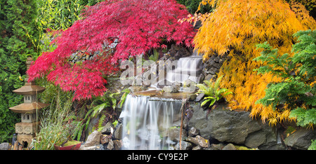 Hinterhofwasserfall mit japanischen Ahornbäume im bunten Herbst Saison Panorama Stockfoto