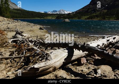 Tioga Pass von Lee Vining, Yosemite, Route 120 - Tioga Lake. Blick vom nordöstlichen Ufer mit Kuna Crest Gipfeln in Ferne. Stockfoto