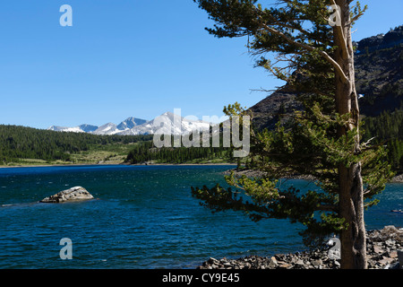 Tioga Pass von Lee Vining, Yosemite, Route 120 - Tioga Lake. Blick vom nordöstlichen Ufer mit Kuna Crest Gipfeln in Ferne. Stockfoto