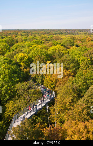 BAUMWIPFELPFAD, LAUBWALD, NATIONALPARK HAINICH, HAINICH, THÜRINGEN, DEUTSCHLAND Stockfoto