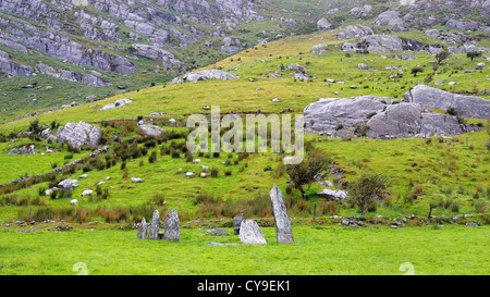 Schafbeweidung auf einem Hügel hinter einem kleinen Steinkreis in der Nähe von Cloonee Seen, Cloonee, County Kerry, Irland. Stockfoto