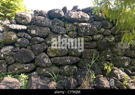 Elk284-6136 Hawaii, Molokai, Ost Molokai Ili'iliopae Heiau Stockfoto